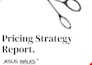 maximize your profit with pricing and competitor analysis